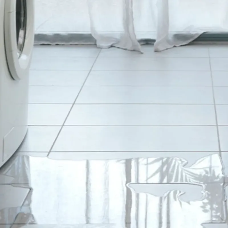 Appliance Leak Cleanup in Winfield, WV