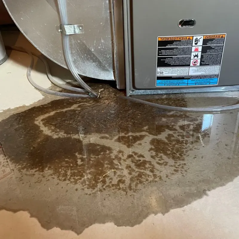 Pipe Burst and Leak Restoration in Winfield, WV