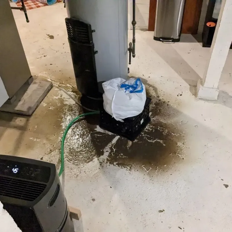 Sewage Backup Cleanup Service in Winfield, WV